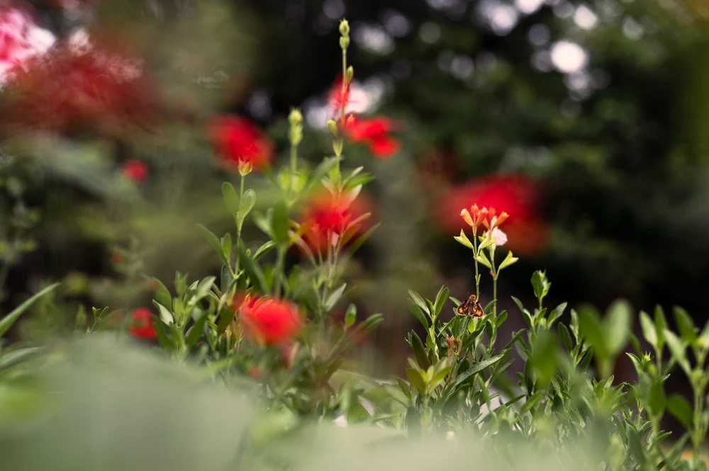 Elevate Your Everyday Style